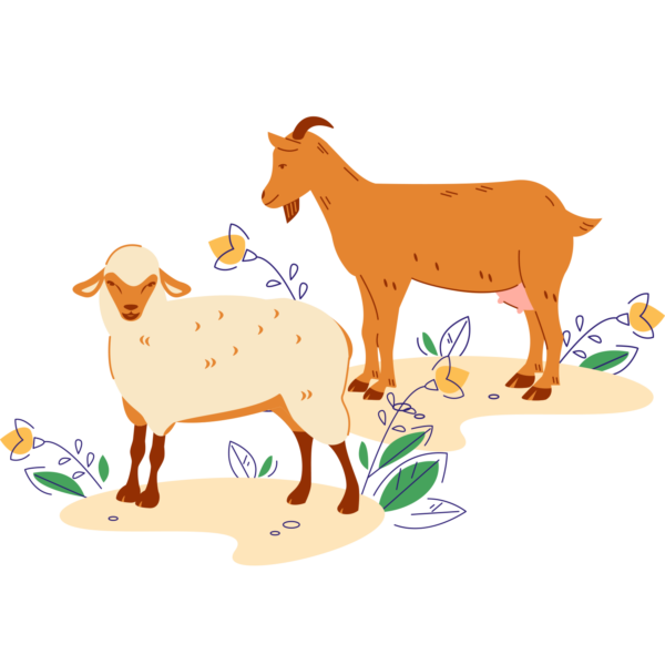 Ilustracija_KGZ_D-Loka_ovca-koza